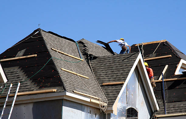 Best Best Roofing Contractors  in Wills Point, TX